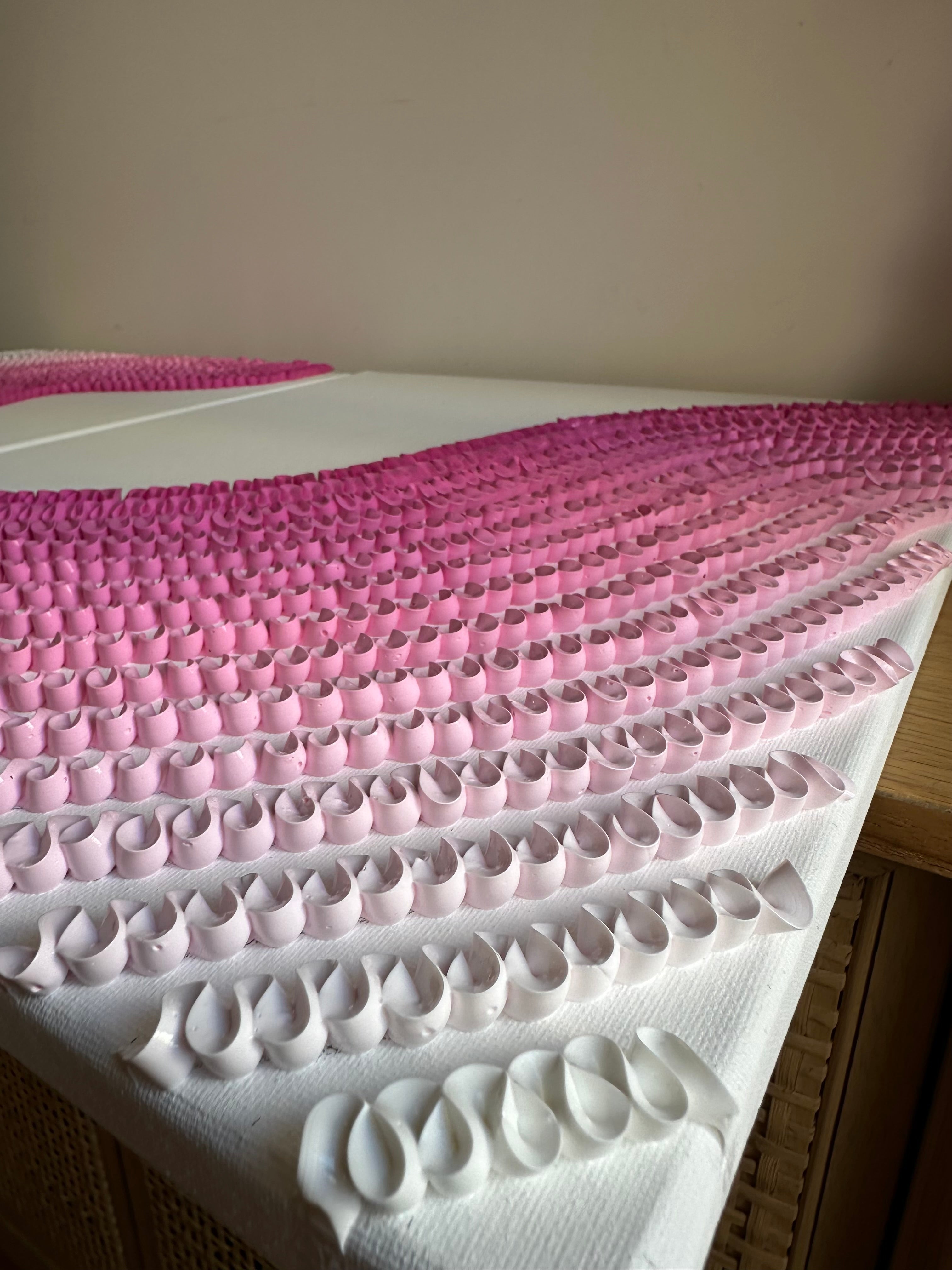 Load video: Raspberry Rose